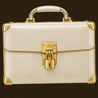 Locked leather briefcase — Winshark